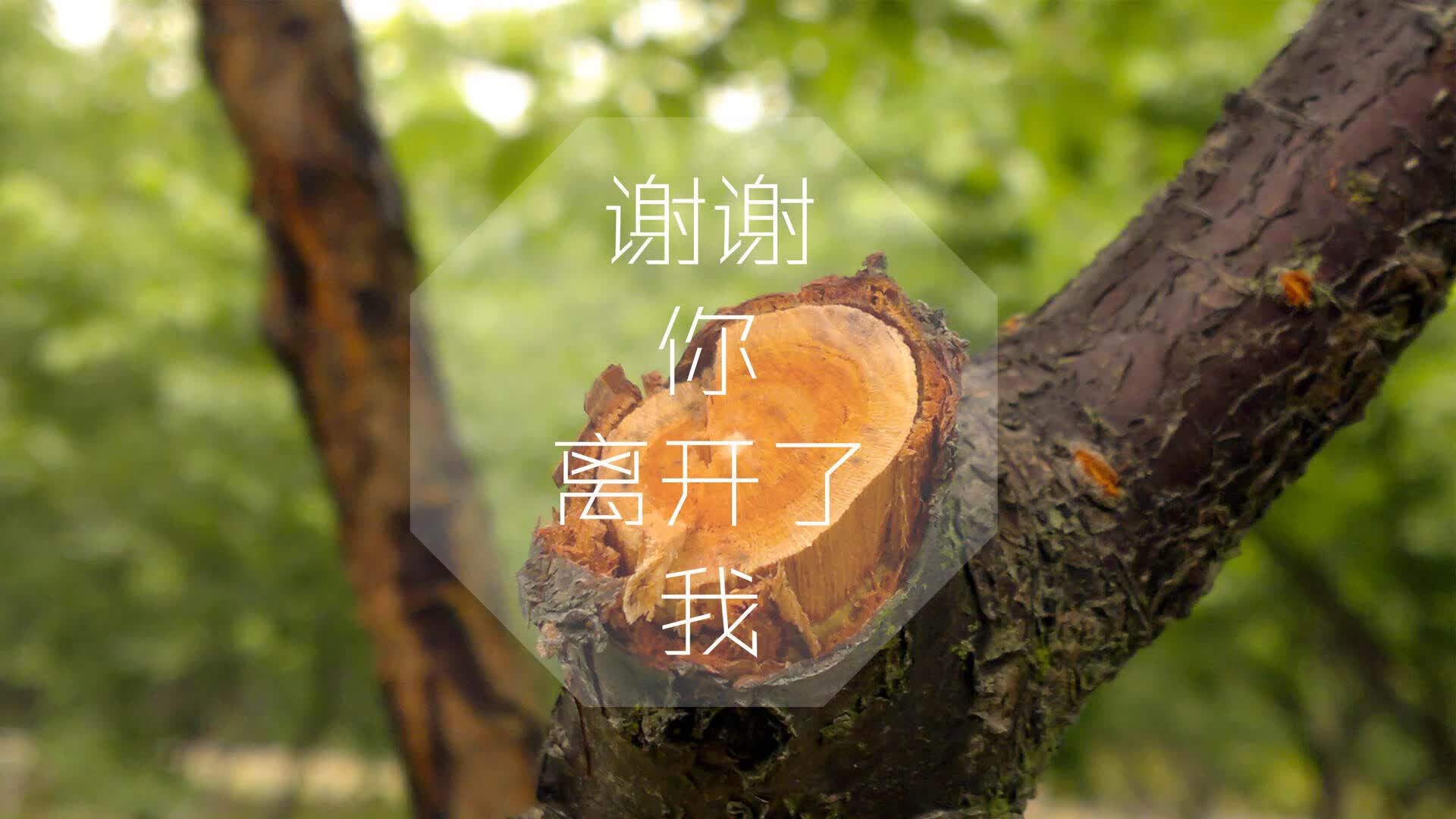 废水处理工艺一级处理方案（废水处理工艺一级处理方案有哪些）